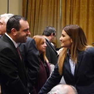 LEIVADAROY TOYRIS SXEDIO