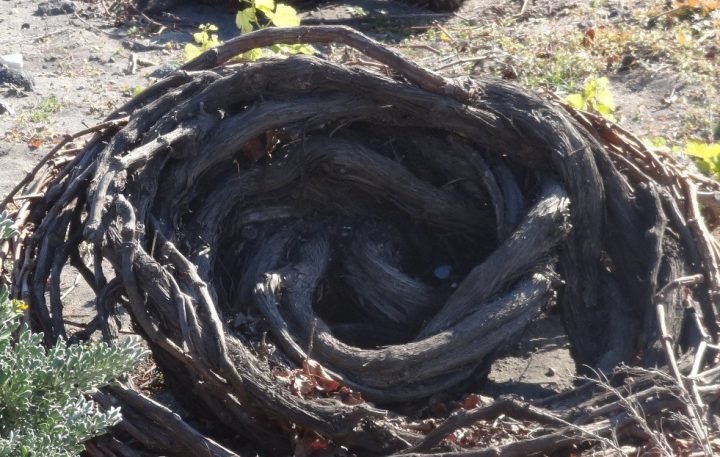 ΔΗΛΩΣΕΙΣ ΓΙΑ ΤΗΝ ΕΠΙΔΟΤΗΣΗ ΤΟΥ ΠΑΡΑΔΟΣΙΑΚΟΥ ΚΛΑΔΕΜΑΤΟΣ