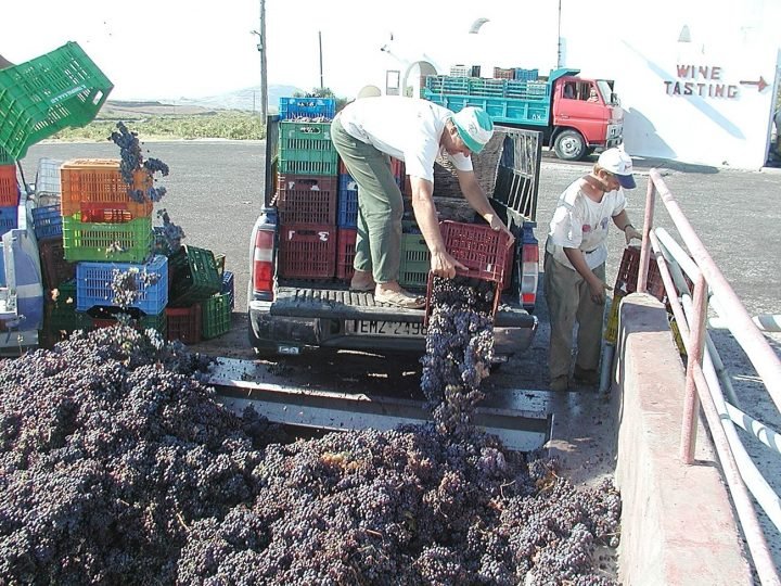 ΠΙΣΤΩΘΗΚΑΝ ΟΙ ΑΠΟΖΗΜΙΩΣΕΙΣ ΓΙΑ ΤΗΝ ΑΝΕΜΟΘΥΕΛΛΑ