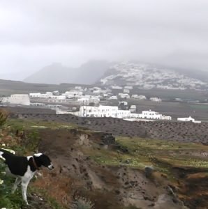 ΚΑΘΑΡΑ ΔΕΥΤΕΡΑ 2016