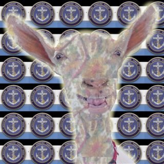 παρδαλο κατσικι