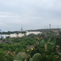ΛΑΪΚΗ ΣΥΣΠΕΙΡΩΣΗ ΘΗΡΑΣ: “ΘΗΡΑΣΙΑ, Ο ΦΤΩΧΟΣ ΣΥΓΓΕΝΗΣ”