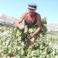 ΥΠΟΒΟΛΗ ΔΗΛΩΣΕΩΝ ΓΙΑ ΤΙΣ ΑΓΡΟΤΙΚΕΣ ΕΠΙΔΟΤΗΣΕΙΣ