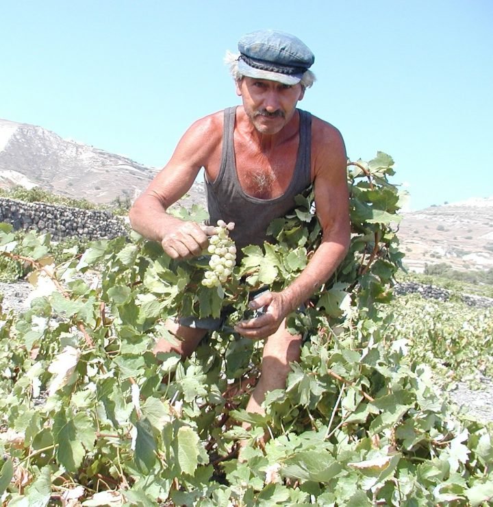 ΥΠΟΒΟΛΗ ΔΗΛΩΣΕΩΝ ΓΙΑ ΤΙΣ ΑΓΡΟΤΙΚΕΣ ΕΠΙΔΟΤΗΣΕΙΣ