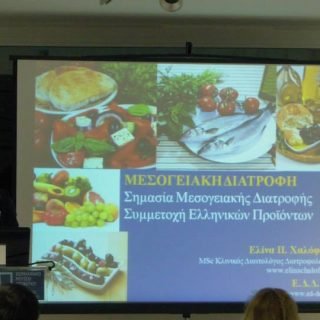 ΧΑΛΟΦΤΗ ΕΛΙΝΑ3