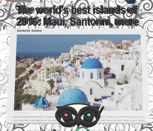 NEWSDAY TRIPADVISOR1