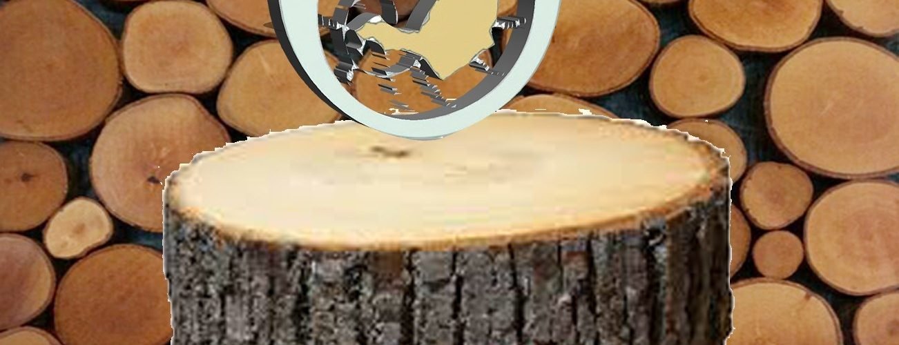 ΞΥΛΕΙΑ ΔΗΜΟΣ ΘΗΡΑΣ