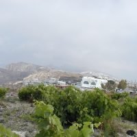 «ΔΙΑΤΗΡΗΣΗ ΑΜΠΕΛΟΚΟΜΙΚΗΣ ΠΡΑΚΤΙΚΗΣ ΣΤΟΝ ΑΜΠΕΛΩΝΑ ΝΗΣΟΥ ΘΗΡΑΣ»