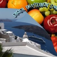 ΔΙΑΝΟΜΗ ΤΡΟΦΙΜΩΝ ΑΠΟ ΤΗΝ ΕΝΩΣΗ ΠΟΛΥΤΕΚΝΩΝ
