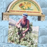 ΔΗΛΩΣΕΙΣ ΠΑΡΑΓΩΓΗΣ ΣΤΗΝ ΕΣΘΠ