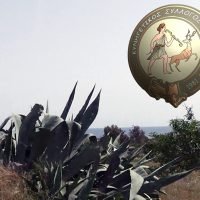 ΕΚΔΗΛΩΣΗ «ΚΡΕΑΤΟΠΙΤΤΑΣ» ΤΟΥ ΚΥΝΗΓΕΤΙΚΟΥ ΣΥΛΛΟΓΟΥ ΘΗΡΑΣ