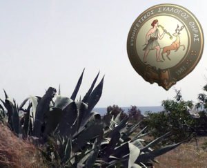 ΚΥΝΗΓΕΤΙΚΟΣ ΣΥΛΛΟΓΟΣ ΘΗΡΑΣ