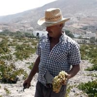 ΔΗΛΩΣΕΙΣ ΣΥΓΚΟΜΙΔΗΣ ΣΤΑΦΥΛΙΩΝ