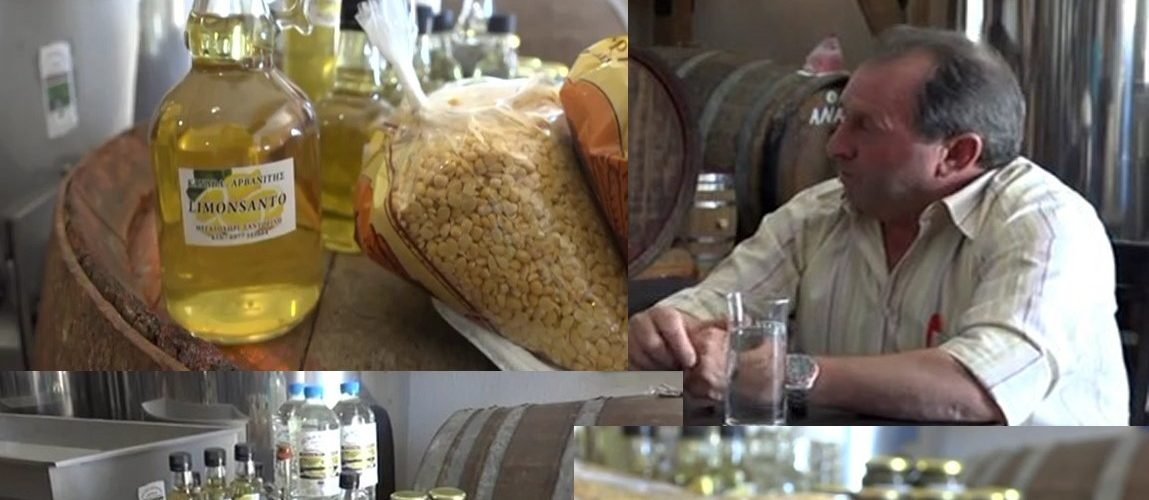 Arvanitis megalochori