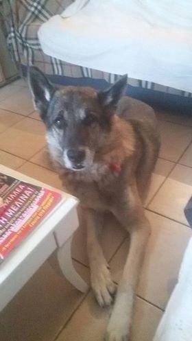 15139367 618798021633382 308992812 n