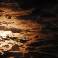ΕΣΠΕΡΙΔΑ ΜΕ ΘΕΜΑ ΤΗ ΔΙΑΧΕΙΡΙΣΗ ΚΑΤΑΣΤΡΟΦΩΝ, ΚΙΝΔΥΝΩΝ ΚΑΙ ΚΡΙΣΕΩΝ