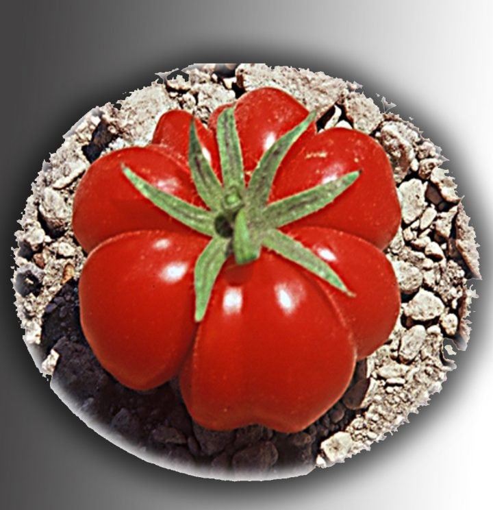 ΠΡΟΣ ΤΟΥΣ ΕΡΑΣΤΕΣ ΤΗΣ ΦΩΤΟΓΡΑΦΙΑΣ ΓΙΑ ΤΟ ΜΙΑ ΜΑΤΙΑ