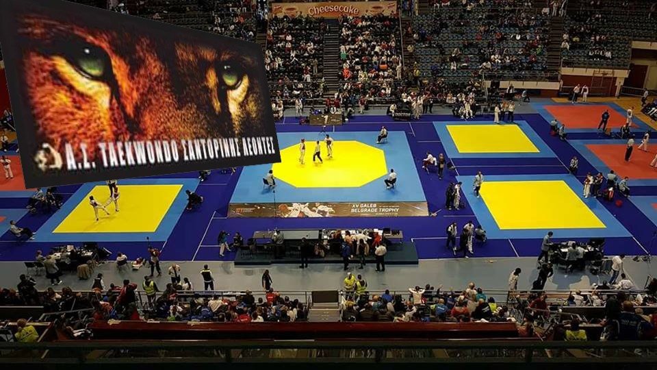 ΝΕΕΣ ΕΠΙΤΥΧΙΕΣ ΓΙΑ ΤΟΥΣ “ΛΕΟΝΤΕΣ”