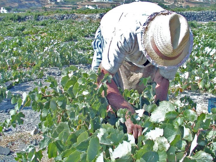 ΔΟΘΗΚΑΝ ΟΙ ΕΠΙΔΟΤΗΣΕΙΣ ΓΙΑ ΤΟ ΚΛΑΔΕΜΑ
