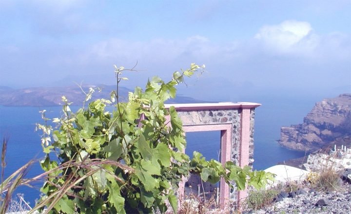 ΕΠΙΔΟΤΗΣΕΙΣ ΓΙΑ ΝΕΟΥΣ ΓΕΩΡΓΟΥΣ