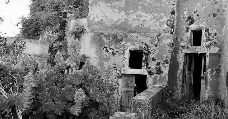 ΠΙΤΣΙΚΑΛΗ Μεσα Γωνιά