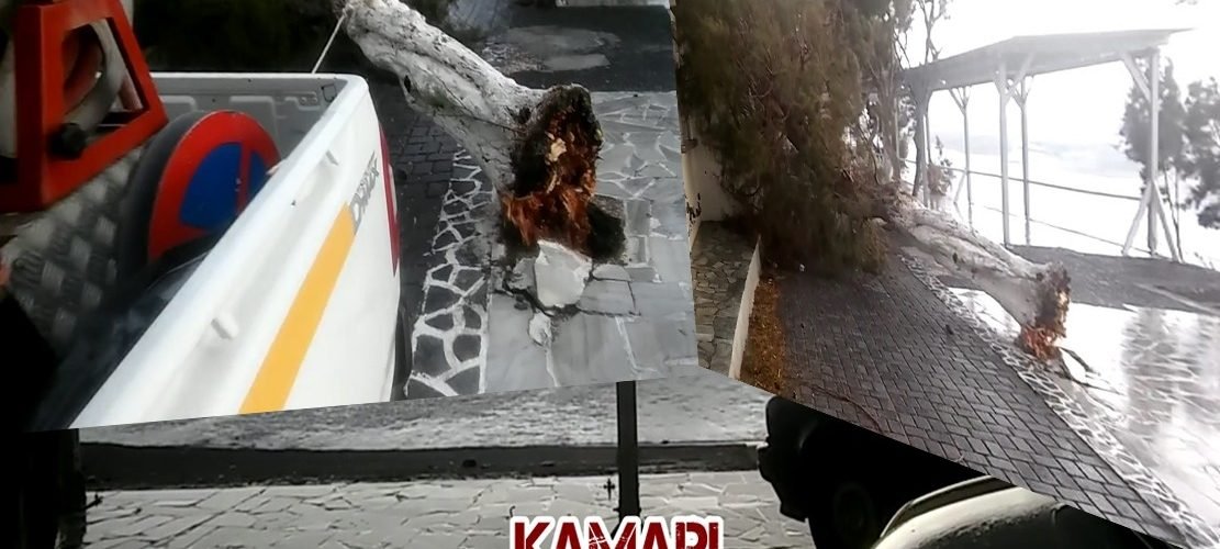 Kamari kakokeria 6 ian