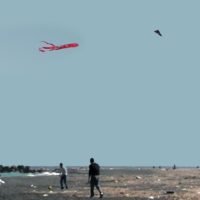 ΠΡΟΣΟΧΗ ΚΑΤΑ ΤΟ ΠΕΤΑΓΜΑ ΧΑΡΤΑΕΤΟΥ
