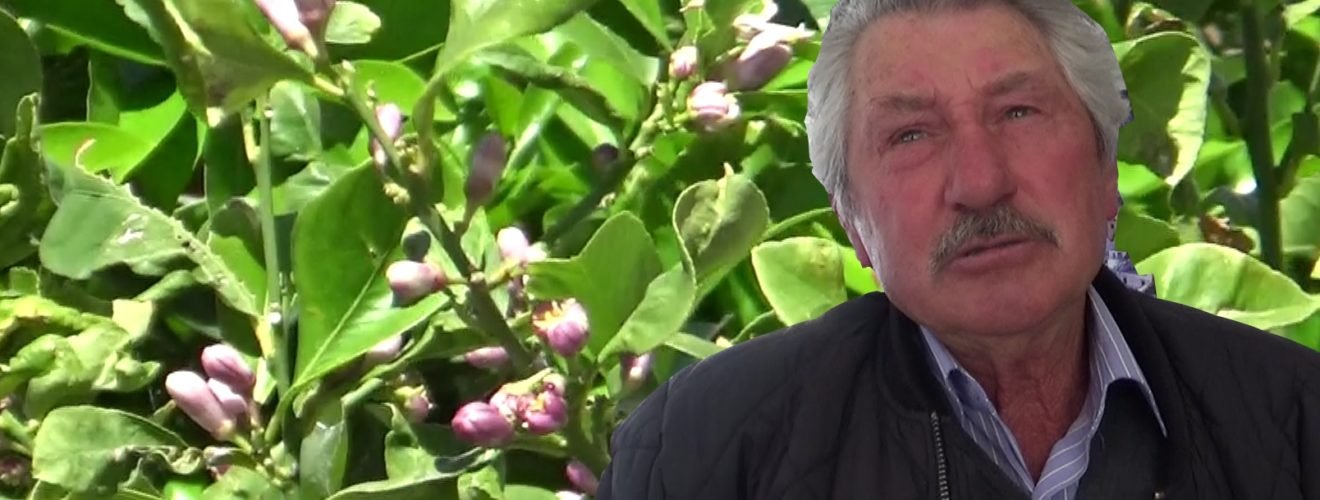 ΝΙΚΟΛΑΟΣ ΛΙΓΝΟΣ