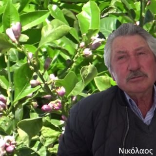 ΝΙΚΟΛΑΟΣ ΛΙΓΝΟΣ