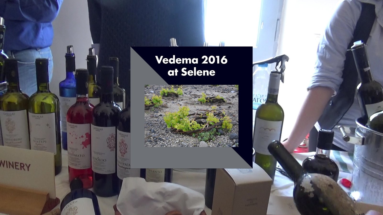 ΒΙΝΤΕΟ: VEDEMA 2016- Η ΑΜΠΕΛΟΕΣΣΑ ΣΑΝΤΟΡΙΝΗ ΚΑΛΠΑΖΕΙ