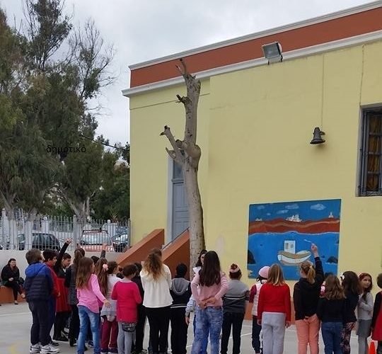 11141755 10205434618159211 6535741353170870503 n