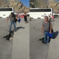 ΜΕΤΑ ΤΟ ΛΟΤΤΟ, ΤΟ ΤΖΟΚΕΡ, ΤΟ ΚΙΝΟ ΚΑΙ ΤΟ ΞΥΣΤΟ, Ο ΑΘΗΝΙΟΣ ΩΣ ΠΑΙΓΝΙΟΝ