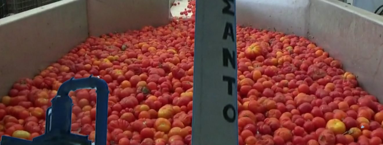 τοματαδικο