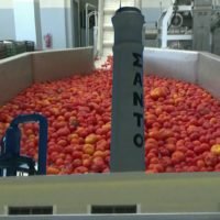 ΔΗΛΩΣΗ ΣΥΓΚΟΜΙΔΗΣ ΓΙΑ ΤΟ ΤΟΜΑΤΑΚΙ