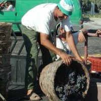 BENTEMA KAI ΓΙΑ ΤΑ ΜΑΥΡΑ ΚΡΑΣΟΣΤΑΦΥΛΑ