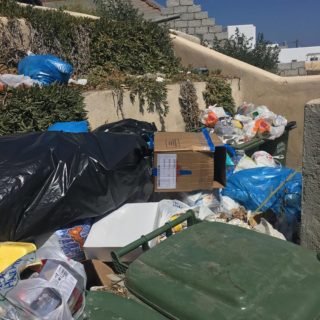 κοντοζωρι σκουπίδια2