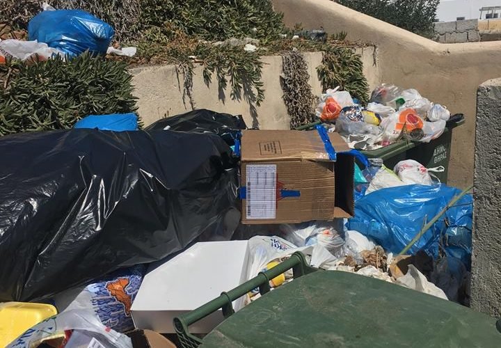 κοντοζωρι σκουπίδια2
