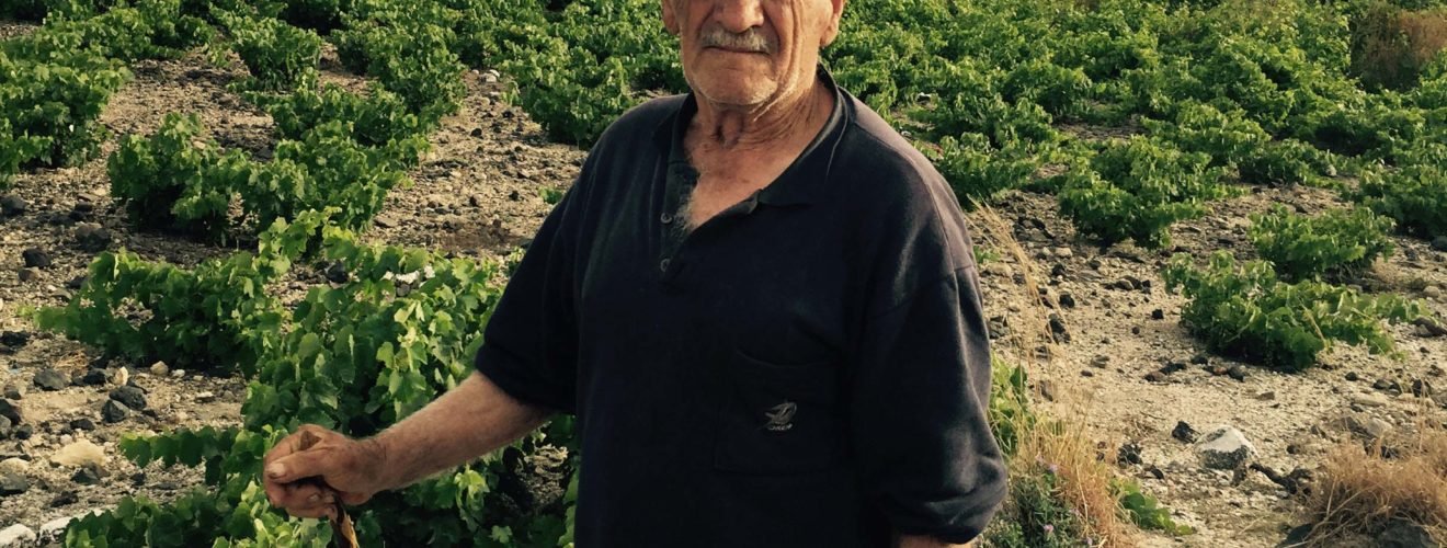 παπουσ μαρια πελεκάνου