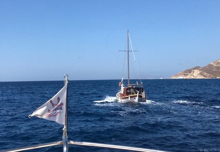 19075436 276355332860618 277550032 n