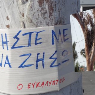 ΕΥΚΑΛΥΠΤΟΙ1