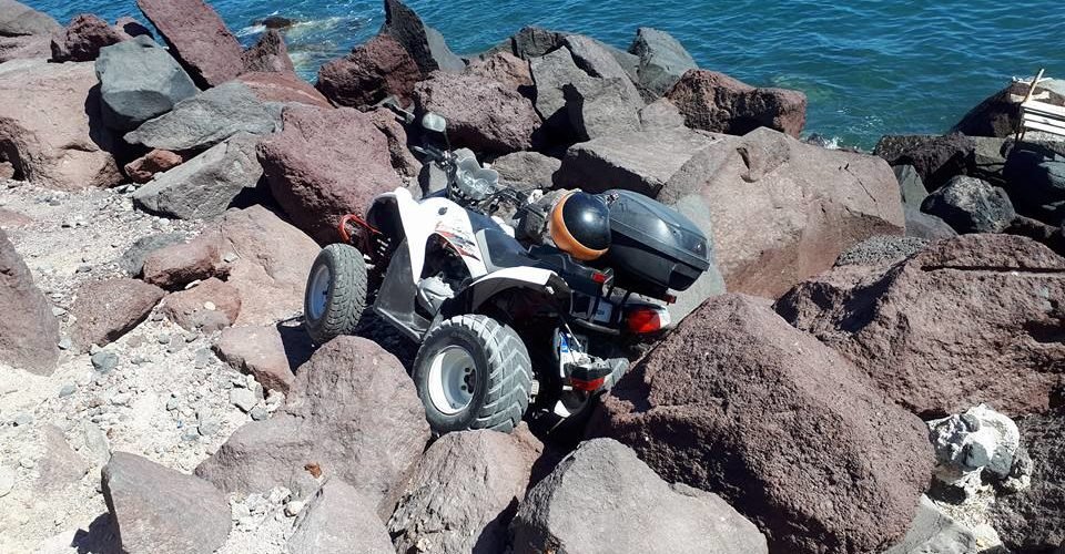 γουρουνα δαμασκηνος