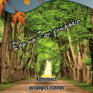 22279941 1650182325056446 8183108547165580331 n