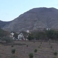 ΔΕΝ ΕΙΝΑΙ Η ΩΡΑ ΓΙΑ ΕΛΑΙΟΤΡΙΒΕΙΟ ΣΤΗ ΣΑΝΤΟΡΙΝΗ;