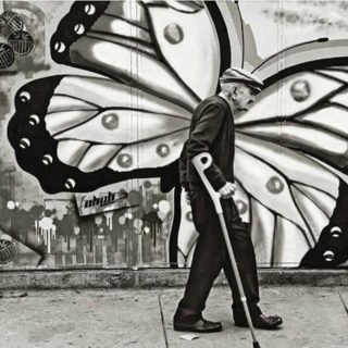 26047045 10211631266439085 4579501765658753748 n