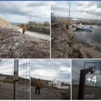 ΜΑΣ ΠΟΥΛΑΝΕ “ΦΥΚΙΑ” ΓΙΑ ΜΕΤΑΞΩΤΈΣ ΚΟΡΔΈΛΕΣ”.