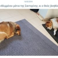 TA ΘΛΙΜΜΕΝΑ ΜΑΤΙΑ ΤΗΣ ΣΑΝΤΟΡΙΝΗΣ