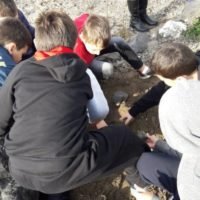 ΟΛΟΚΛΗΡΩΘΗΚΑΝ ΤΑ ΣΕΜΙΝΑΡΙΑ ΑΜΠΕΛΟΚΑΛΛΙΕΡΓΕΙΑΣ