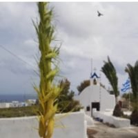 “H ΜΕΓΑΛΗ ΛΑΧΤΑΡΑ ΓΙΑ ΤΟ ΒΑΓΙΔΙ”