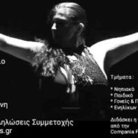 ΣΕΜΙΝΑΡΙΟ ΦΛΑΜΕΝΓΚΟ ΣΤΗ ΣΑΝΤΟΡΙΝΗ