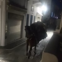 «ΑΝ ΘΕΛΕΙ ΝΑ ΣΕ ΤΙΜΩΡΗΣΕΙ Ο ΘΕΟΣ, ΣΕ ΚΑΝΕΙ ΓΑΪΔΑΡΟ ΣΤΗ ΣΑΝΤΟΡΙΝΗ»